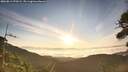 ./images/calvert/fitz-hugh-hecate/20260811/fitz-hugh-hecate20260811_070501M.jpg