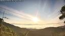 ./images/calvert/fitz-hugh-hecate/20260811/fitz-hugh-hecate20260811_071002M.jpg