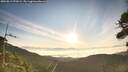 ./images/calvert/fitz-hugh-hecate/20260811/fitz-hugh-hecate20260811_072002M.jpg