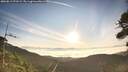 ./images/calvert/fitz-hugh-hecate/20260811/fitz-hugh-hecate20260811_072502M.jpg