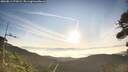 ./images/calvert/fitz-hugh-hecate/20260811/fitz-hugh-hecate20260811_073001M.jpg