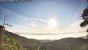 ./images/calvert/fitz-hugh-hecate/20260811/fitz-hugh-hecate20260811_074001M.jpg