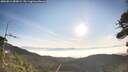 ./images/calvert/fitz-hugh-hecate/20260811/fitz-hugh-hecate20260811_080001M.jpg