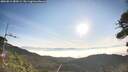 ./images/calvert/fitz-hugh-hecate/20260811/fitz-hugh-hecate20260811_080501M.jpg