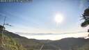 ./images/calvert/fitz-hugh-hecate/20260811/fitz-hugh-hecate20260811_081502M.jpg