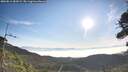 ./images/calvert/fitz-hugh-hecate/20260811/fitz-hugh-hecate20260811_083002M.jpg