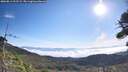 ./images/calvert/fitz-hugh-hecate/20260811/fitz-hugh-hecate20260811_093502M.jpg