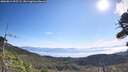 ./images/calvert/fitz-hugh-hecate/20260811/fitz-hugh-hecate20260811_095501M.jpg