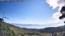 ./images/calvert/fitz-hugh-hecate/20260811/fitz-hugh-hecate20260811_100001M.jpg