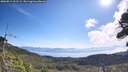 ./images/calvert/fitz-hugh-hecate/20260811/fitz-hugh-hecate20260811_101501M.jpg