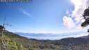 ./images/calvert/fitz-hugh-hecate/20260811/fitz-hugh-hecate20260811_102002M.jpg