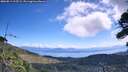 ./images/calvert/fitz-hugh-hecate/20260811/fitz-hugh-hecate20260811_115502M.jpg