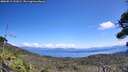 ./images/calvert/fitz-hugh-hecate/20260811/fitz-hugh-hecate20260811_131002M.jpg