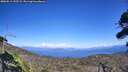 ./images/calvert/fitz-hugh-hecate/20260811/fitz-hugh-hecate20260811_152502M.jpg