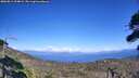 ./images/calvert/fitz-hugh-hecate/20260811/fitz-hugh-hecate20260811_154001M.jpg