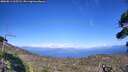 ./images/calvert/fitz-hugh-hecate/20260811/fitz-hugh-hecate20260811_165502M.jpg