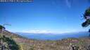 ./images/calvert/fitz-hugh-hecate/20260811/fitz-hugh-hecate20260811_170001M.jpg
