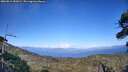 ./images/calvert/fitz-hugh-hecate/20260811/fitz-hugh-hecate20260811_182001M.jpg