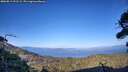 ./images/calvert/fitz-hugh-hecate/20260811/fitz-hugh-hecate20260811_191501M.jpg