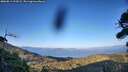 ./images/calvert/fitz-hugh-hecate/20260811/fitz-hugh-hecate20260811_194501M.jpg