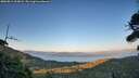 ./images/calvert/fitz-hugh-hecate/20260811/fitz-hugh-hecate20260811_203002M.jpg