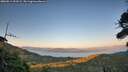 ./images/calvert/fitz-hugh-hecate/20260811/fitz-hugh-hecate20260811_203502M.jpg