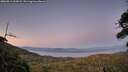 ./images/calvert/fitz-hugh-hecate/20260811/fitz-hugh-hecate20260811_212001M.jpg