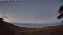 ./images/calvert/fitz-hugh-hecate/20260811/fitz-hugh-hecate20260811_213501M.jpg
