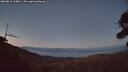 ./images/calvert/fitz-hugh-hecate/20260811/fitz-hugh-hecate20260811_214001M.jpg
