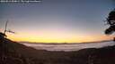 ./images/calvert/fitz-hugh-hecate/20260812/fitz-hugh-hecate20260812_054001M.jpg