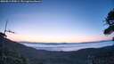 ./images/calvert/fitz-hugh-hecate/20260812/fitz-hugh-hecate20260812_055001M.jpg