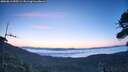./images/calvert/fitz-hugh-hecate/20260812/fitz-hugh-hecate20260812_055501M.jpg