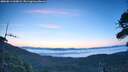 ./images/calvert/fitz-hugh-hecate/20260812/fitz-hugh-hecate20260812_060001M.jpg