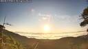 ./images/calvert/fitz-hugh-hecate/20260812/fitz-hugh-hecate20260812_070001M.jpg