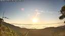 ./images/calvert/fitz-hugh-hecate/20260812/fitz-hugh-hecate20260812_070501M.jpg