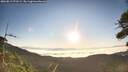 ./images/calvert/fitz-hugh-hecate/20260812/fitz-hugh-hecate20260812_072501M.jpg