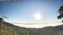 ./images/calvert/fitz-hugh-hecate/20260812/fitz-hugh-hecate20260812_074001M.jpg
