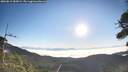 ./images/calvert/fitz-hugh-hecate/20260812/fitz-hugh-hecate20260812_080001M.jpg