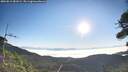 ./images/calvert/fitz-hugh-hecate/20260812/fitz-hugh-hecate20260812_081001M.jpg