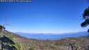 ./images/calvert/fitz-hugh-hecate/20260812/fitz-hugh-hecate20260812_153501M.jpg
