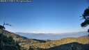 ./images/calvert/fitz-hugh-hecate/20260812/fitz-hugh-hecate20260812_194001M.jpg