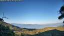 ./images/calvert/fitz-hugh-hecate/20260812/fitz-hugh-hecate20260812_195001M.jpg
