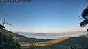 ./images/calvert/fitz-hugh-hecate/20260812/fitz-hugh-hecate20260812_202001M.jpg
