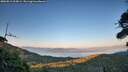./images/calvert/fitz-hugh-hecate/20260812/fitz-hugh-hecate20260812_203001M.jpg