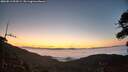 ./images/calvert/fitz-hugh-hecate/20260813/fitz-hugh-hecate20260813_054501M.jpg