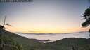 ./images/calvert/fitz-hugh-hecate/20260813/fitz-hugh-hecate20260813_062001M.jpg