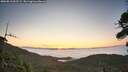 ./images/calvert/fitz-hugh-hecate/20260813/fitz-hugh-hecate20260813_062502M.jpg