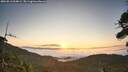 ./images/calvert/fitz-hugh-hecate/20260813/fitz-hugh-hecate20260813_064001M.jpg