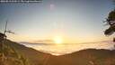 ./images/calvert/fitz-hugh-hecate/20260813/fitz-hugh-hecate20260813_064501M.jpg