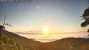 ./images/calvert/fitz-hugh-hecate/20260813/fitz-hugh-hecate20260813_065002M.jpg